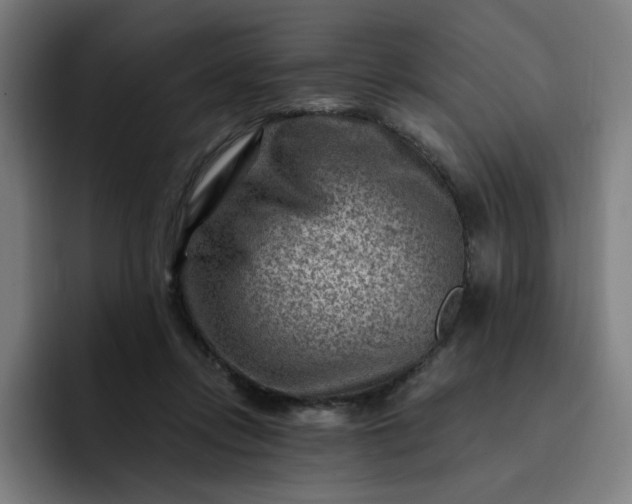 X0000093260358200710101503