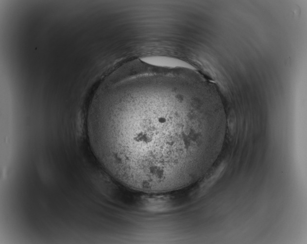 X0000093260359200710101503