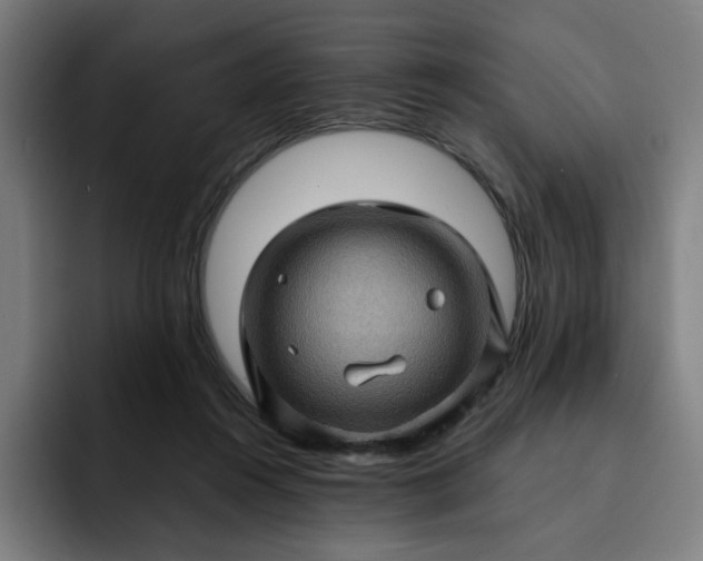 X0000093260360200710101503