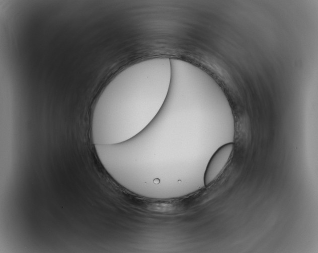 X0000093260361200710101503