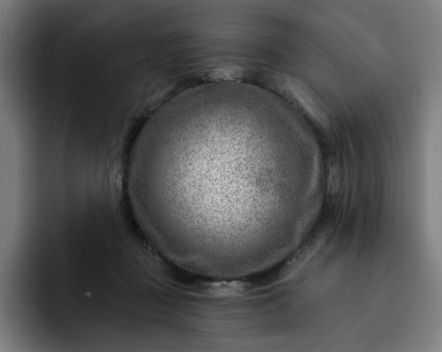 X0000093260363200710101503