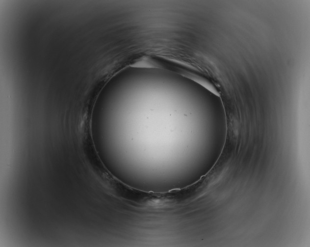 X0000093260364200710101503