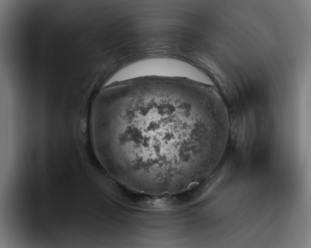 X0000093260365200710101503