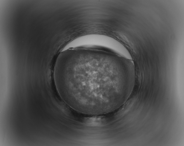 X0000093260366200710101503