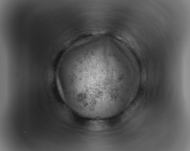 X0000093260367200710101503