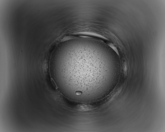 X0000093260372200710101503