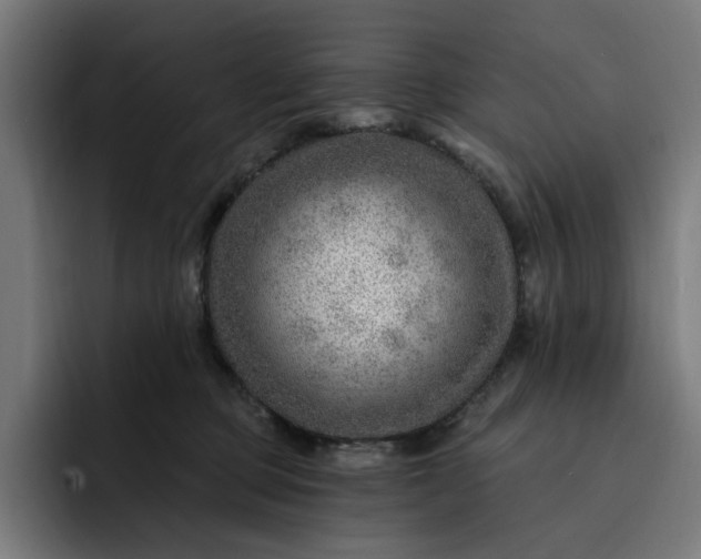 X0000093260373200710101503