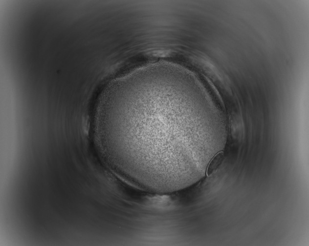 X0000093260374200710101503