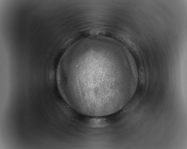 X0000093260375200710101503