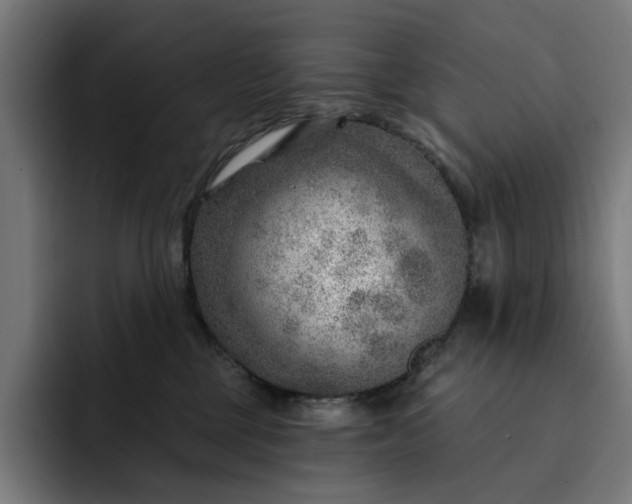 X0000093260377200710101503