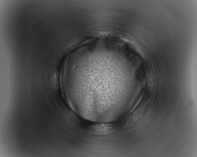 X0000093260378200710101503