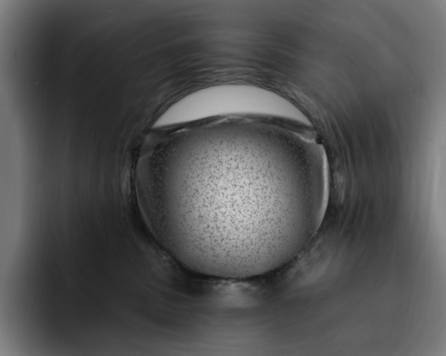 X0000093260379200710101503