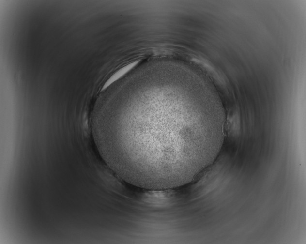 X0000093260381200710101503