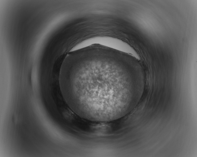 X0000093260383200710101503