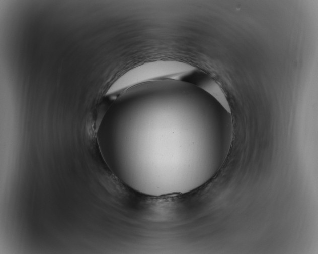 X0000093260384200710101503