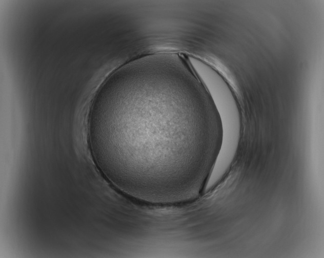 X0000093260385200710101503