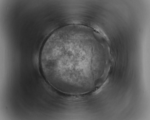 X0000093260386200710101503