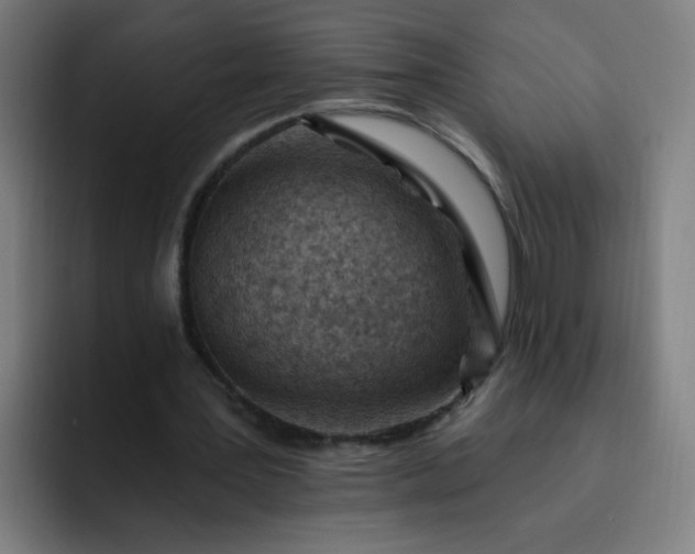 X0000093260387200710101503