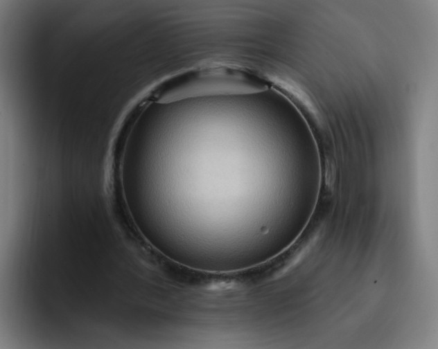 X0000093260388200710101503