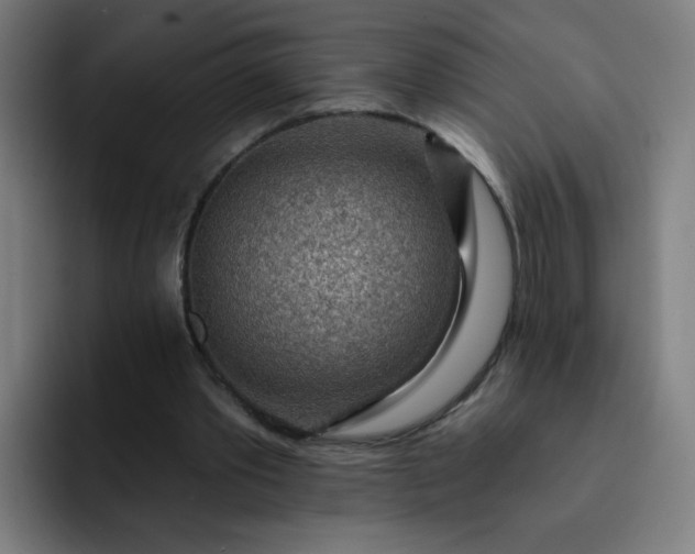 X0000093260389200710101503