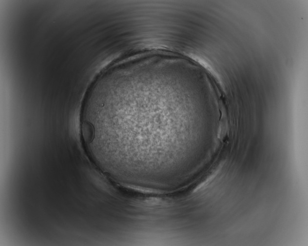 X0000093260390200710101503