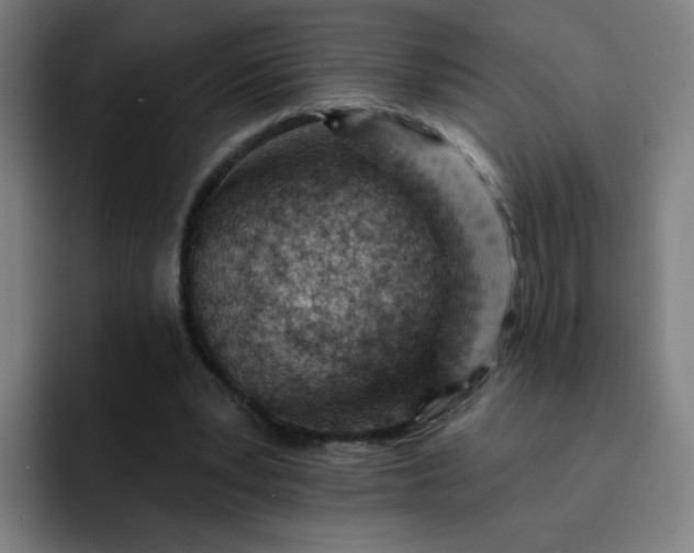 X0000093260391200710101503