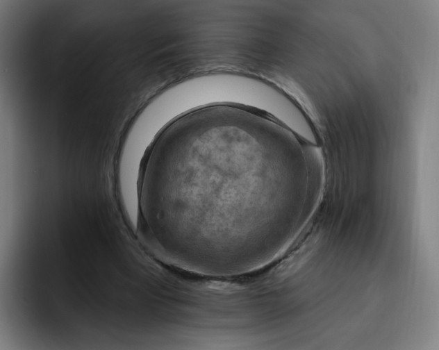 X0000093260393200710101503