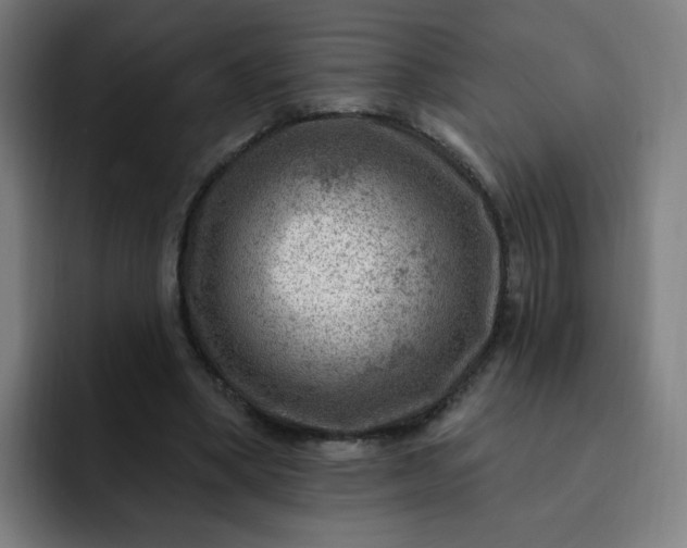 X0000093260394200710101503