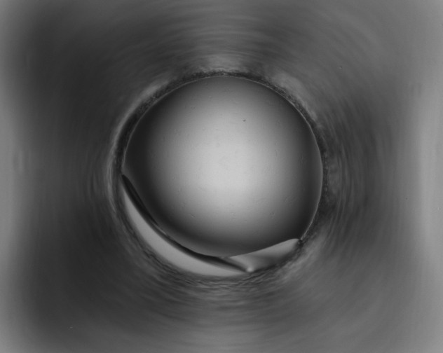 X0000093260395200710101502