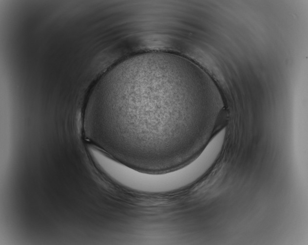 X0000093260397200710101502