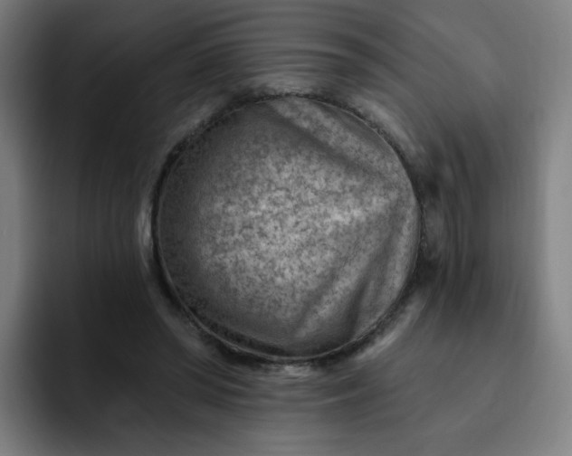 X0000093260398200710101502