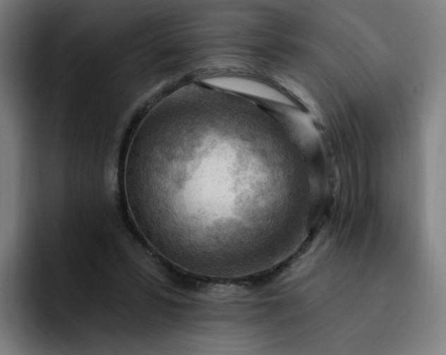 X0000093260399200710101502