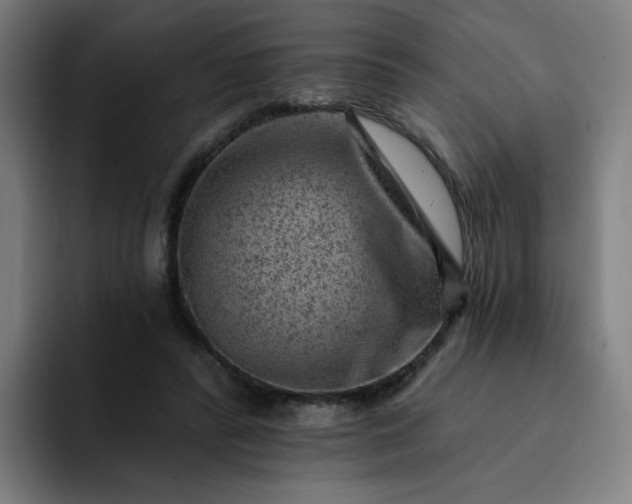 X0000093260400200710101502