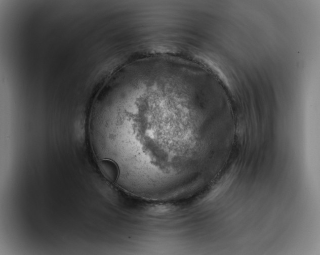 X0000093260402200710101502