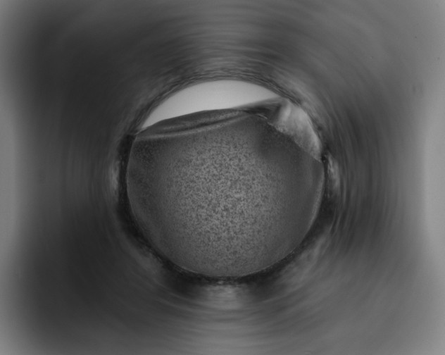 X0000093260404200710101502