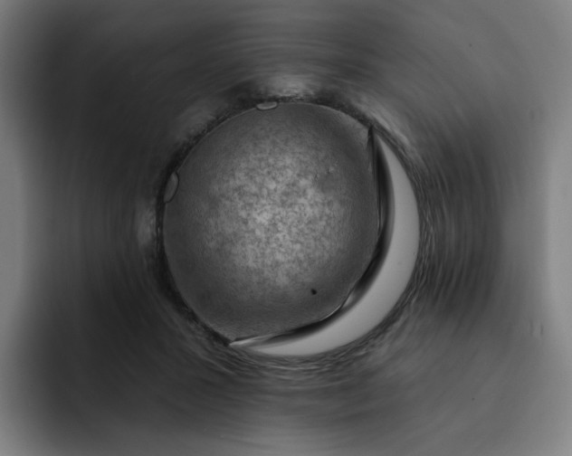 X0000093260407200710101502