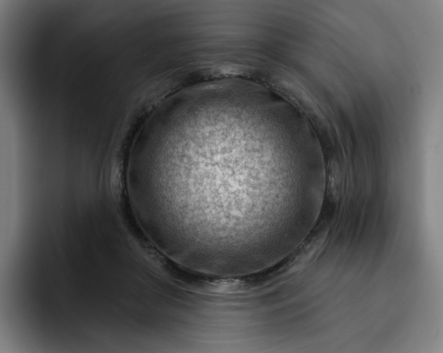 X0000093260410200710101502