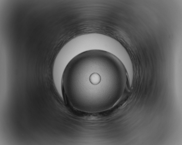 X0000093260412200710101502