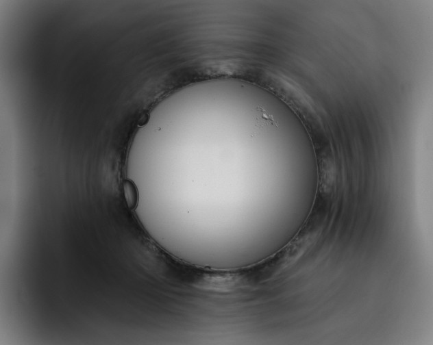 X0000093260414200710101502