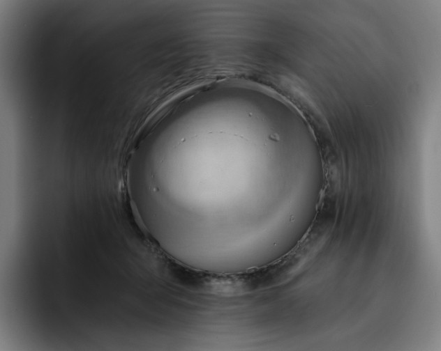 X0000093260415200710101502