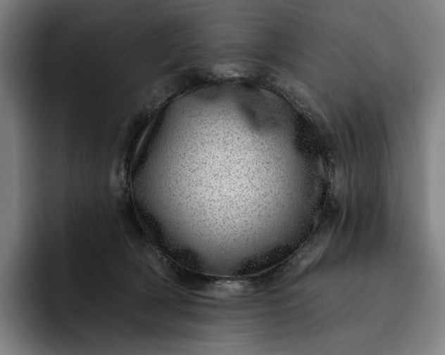 X0000093260418200710101502