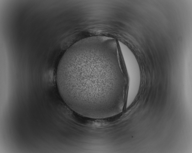 X0000093260420200710101502