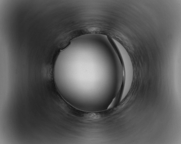 X0000093260421200710101502