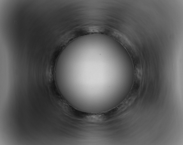 X0000093260422200710101502