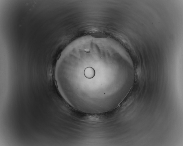 X0000093260423200710101502