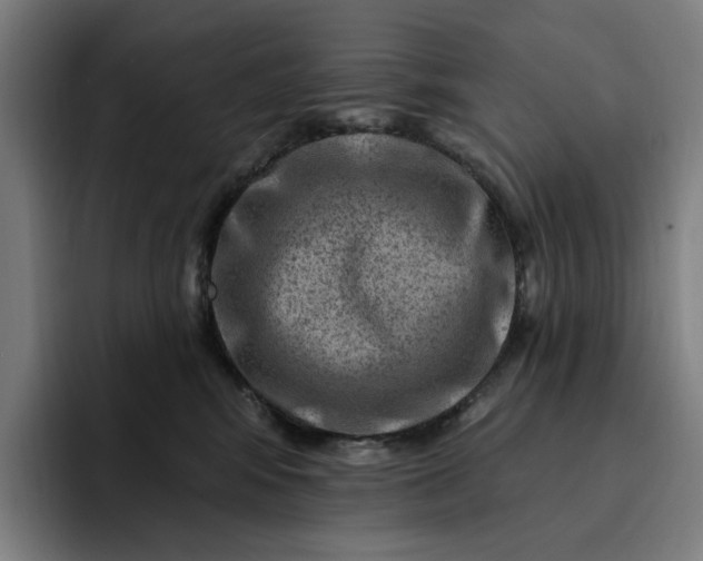 X0000093260424200710101502