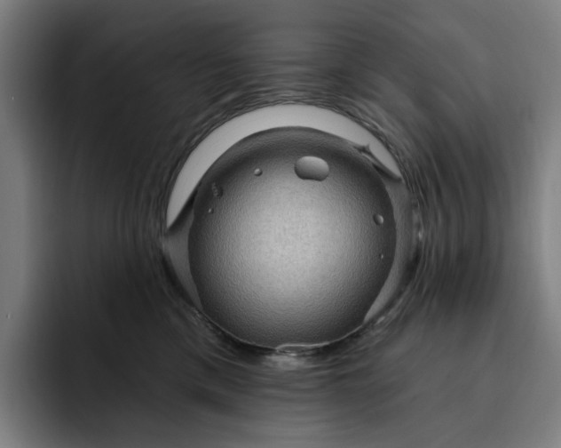 X0000093260425200710101502