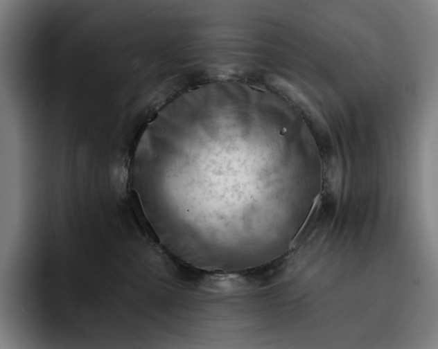 X0000093260427200710101502