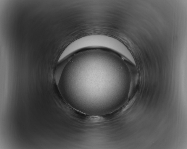 X0000093260429200710101502