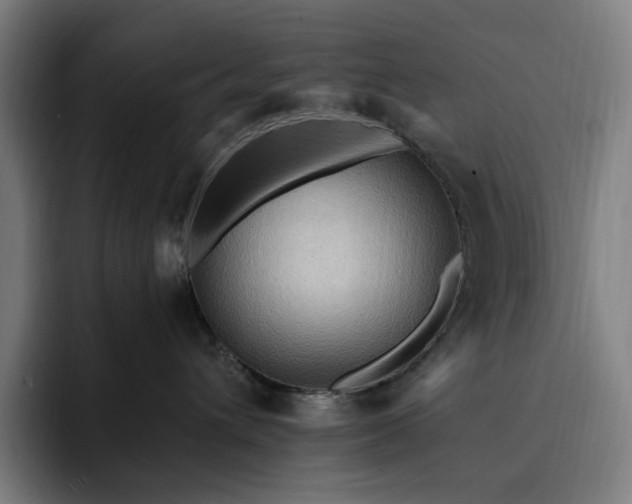 X0000093260432200710101502